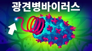 지구에서 가장 치명적인 바이러스 - 광견병 리사 바이러스