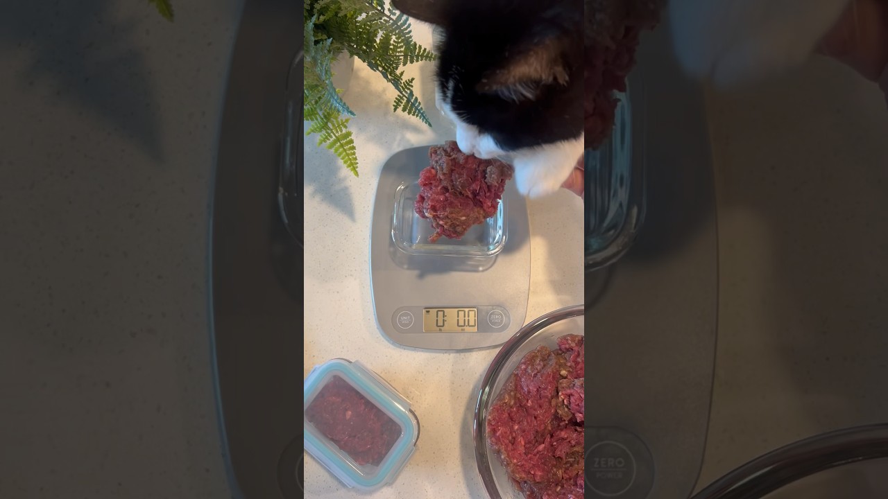 Don’t forget to zero your scale ⚖️🦌 