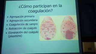 TERCERA CLASE HISTOLOGIA parte 2