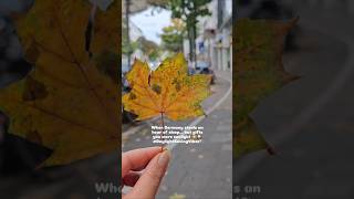 Clocks go back ⏰ in Germany this October 🍂 🍁 #daylightsavingtime #germany #fall #autumn