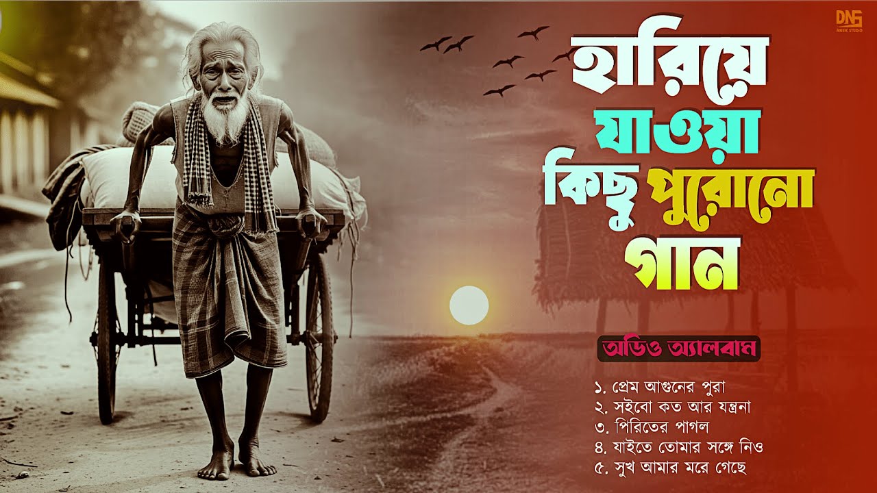 হারিয়ে যাওয়া কিছু পুরোনো গান | Heart touching Audio Jukebox | DNS MUSIC STUDIO |