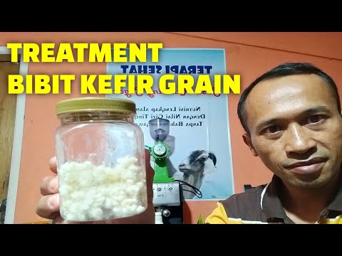 Video: Kefir: Baik Di Pesta Maupun Di Dunia