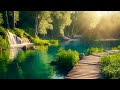 Beautiful Relaxing Music - Stop Overthinking, Stress Relief Music, Sleep Music, Calming Music #08