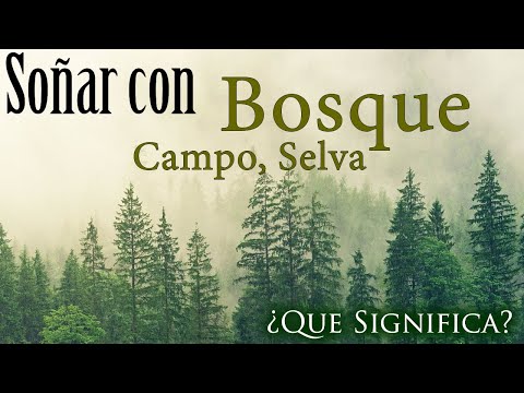 Video: ¿Qué simboliza la jungla?