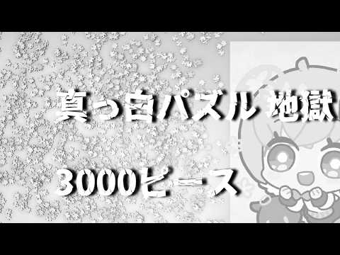 【地獄編】白のみパズル　3000ピース　作り終わるまで企画以外の配信できません