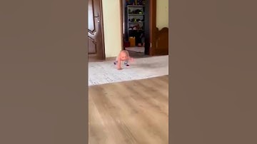 First day as a Social Worker Part 1 😂😂 #funny #shorts #comedy #reels#haha#viralshorts #funny#shorts