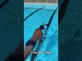 Ref:hetF3HOO16w Cardio progression deux choses bien  diff�rentes  commente ��technique�� #swimming #natation #vs
