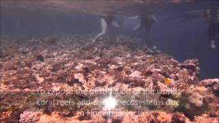 Saving Nemo II - What can the World do without its coral reefs? Official Trailer
