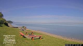 🌊 LIVE Dungeness Bay Webcam from Juan de Fuca Cottages | Sequim WA Coastal Views 🦅🐟