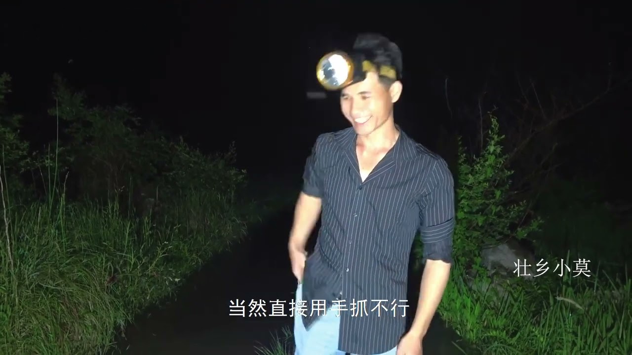 小莫深山里抓到一条鳝王，很少知道这地方有巨货【壮乡小莫】