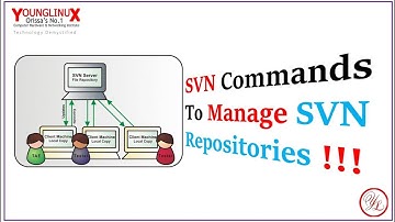SVN Commands To Manage SVN Repository