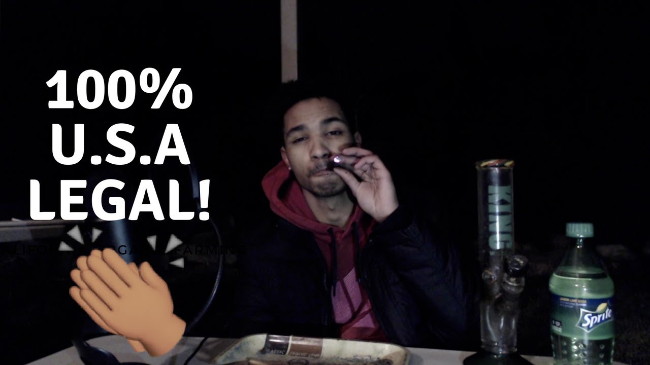 CBD Weed Backyard Night Sesh!