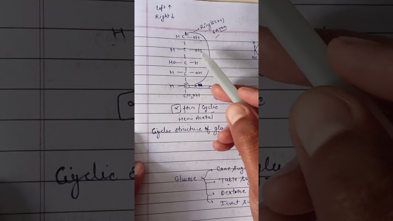11th, 12th and b.sc science वाले देखना न भूले Howarth structure (हावर्थ संरचना) of glucose 