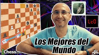 Son los Mejores del Mundo! LC0 Vs Stockfish || Computadoras de Ajedrez