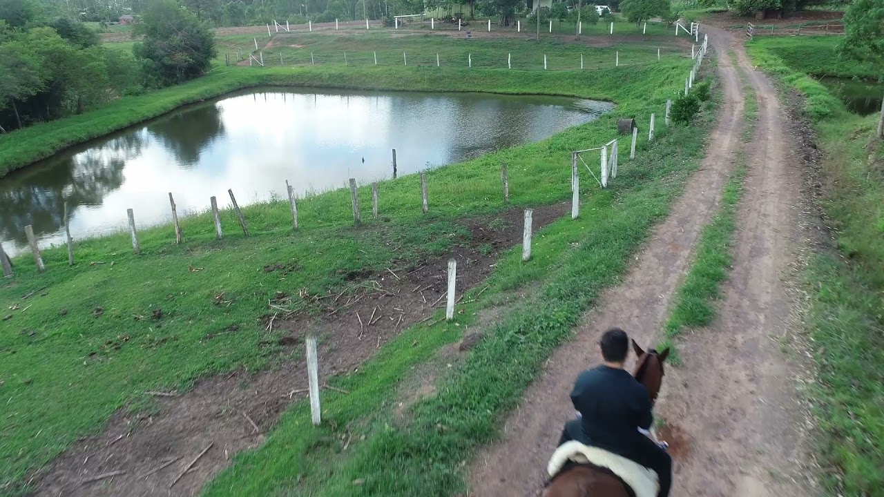 De Pai para Filho - Maykon Amaral