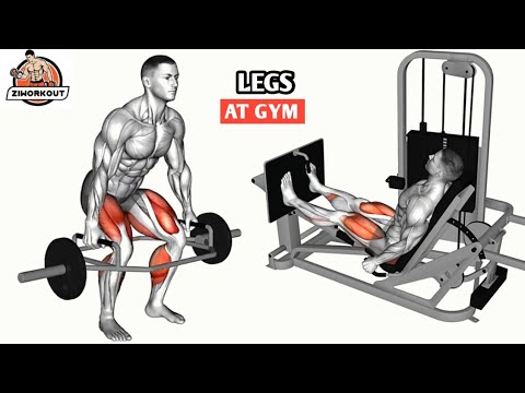 6 Powerful Leg Exercises to Build Bigger Legs at the Gym - YouTube