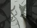 Father Of Geometry Euclid Drawing Euclid Asoka S Arts 