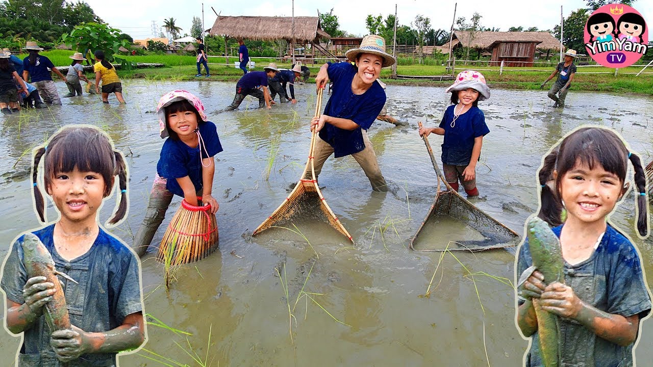 จับ พิกัด โทรศัพท์ 2022 หนูยิ้มหนูแย้ม | จับปูหาปลา เที่ยวเชียงใหม่ Ginger Farm