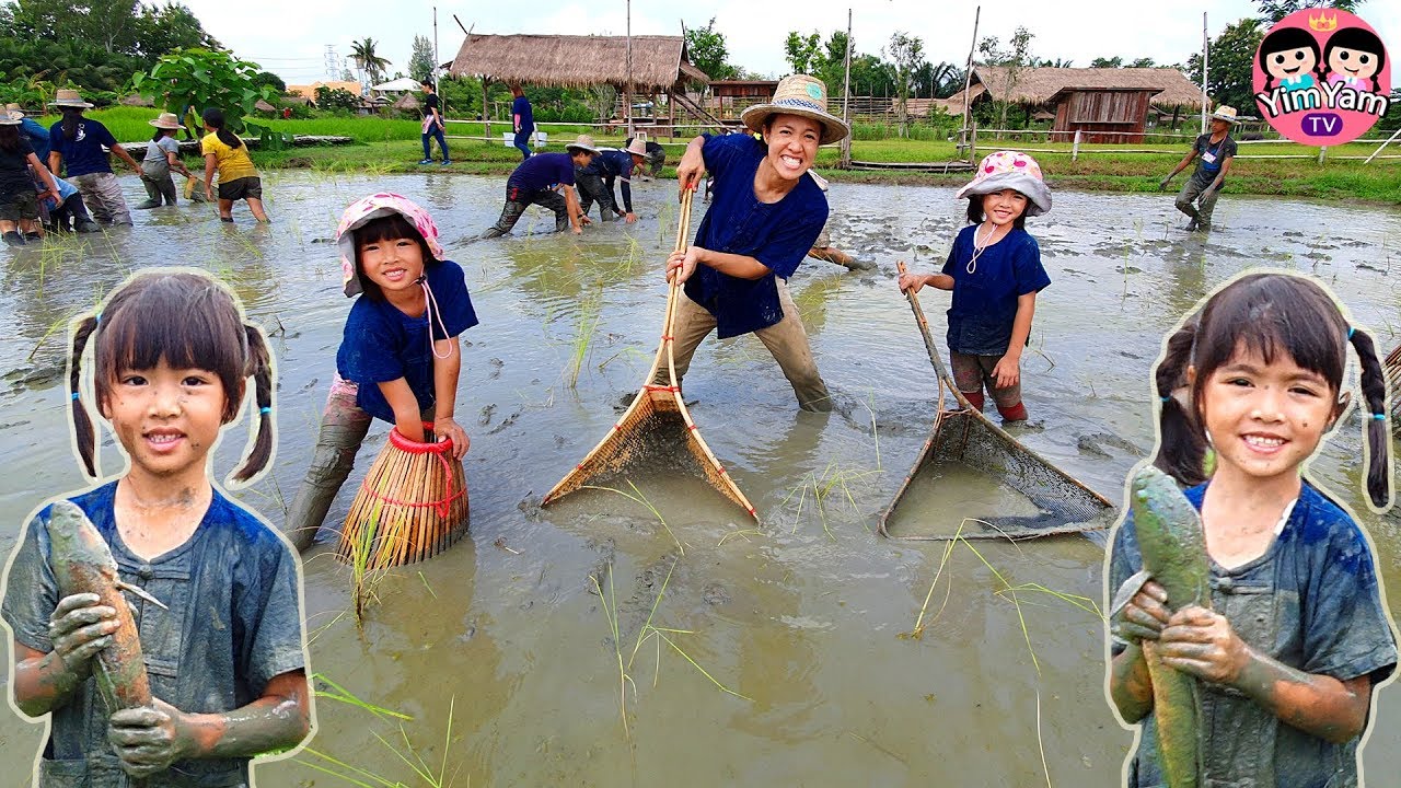 โปรแกรมทําไวนิล  New 2022  หนูยิ้มหนูแย้ม | จับปูหาปลา เที่ยวเชียงใหม่ Ginger Farm