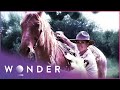 Horse Saves The Life Of Another Horse In Serious Danger | Pet Heroes S1 EP18 | Wonder