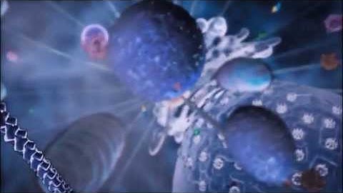 A simplified representation of the complexity of a eukaryotic cell.