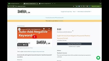 Google Ads Script - Auto Negative Keywords [Light Version] Google Ads Script Explained - May 2024