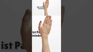 Neuer Verkehrsminister: Wer ist Patrick Schneider?