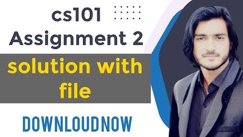 cs101 Assignment 2 solution 2022 with file
