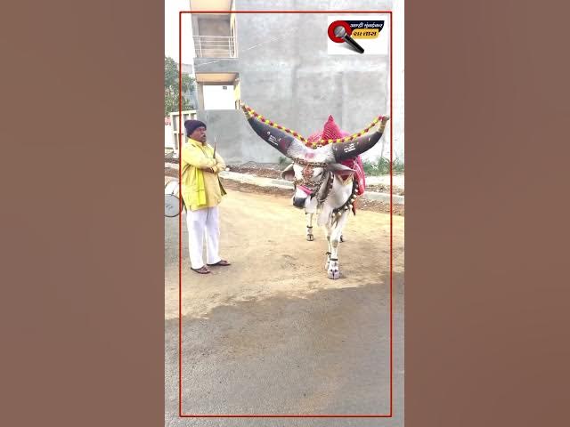 #share #viral #instagram #india #youtube #viralvideo  #indian #yt #ytshorts #ytshort #ytviral #bjp