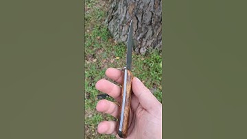 Handmade 19.5 cm full tang knife with Zebrawood handle. #shorts  #handmadeknives #knife#knifemaking