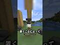 マイクラの知られざる秘密🫨 #マイクラ