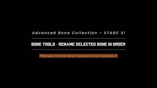 Rigger Aids - Advanced Bone Collection - 11. Rename Selected Bone In Order