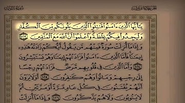 القارئ سعد التوم يرتل آيات من سورة التوبه عشاء 1435/4/4 هـ