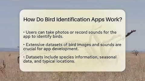 How Do Bird Identification Apps Work? - Ecosystem Essentials