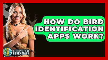 How Do Bird Identification Apps Work? - Ecosystem Essentials