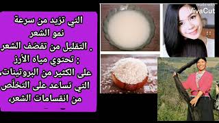 ماء الأرز من بين اسرار جمال شعر الآسيويين?????