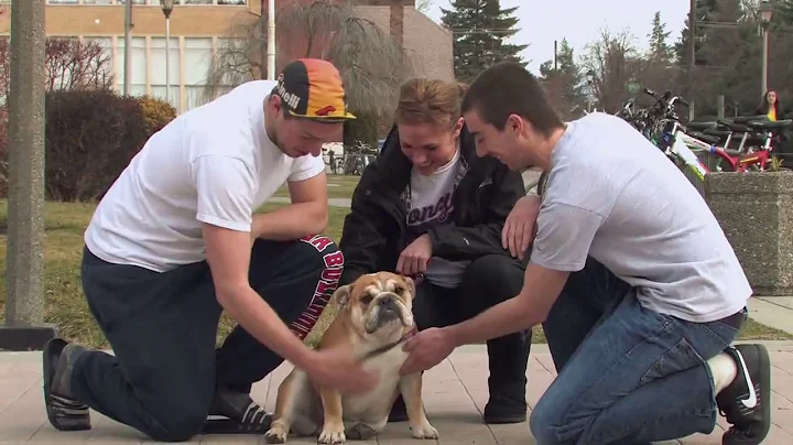 The GU Community