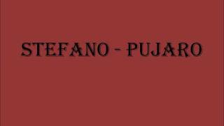 Video thumbnail of "Stefano - Pujaro"