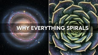 The Code of Life : Why Everything Grows in This Shape
