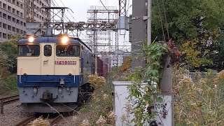 【久々に見かけた2089号機】JR貨物 EF65 2089号機+コキ20B 新A65仕業[77レ] 隅田川行 小田栄駅通過！