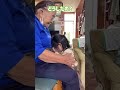 おばあちゃんと別れたくなくて泣き出す2歳娘