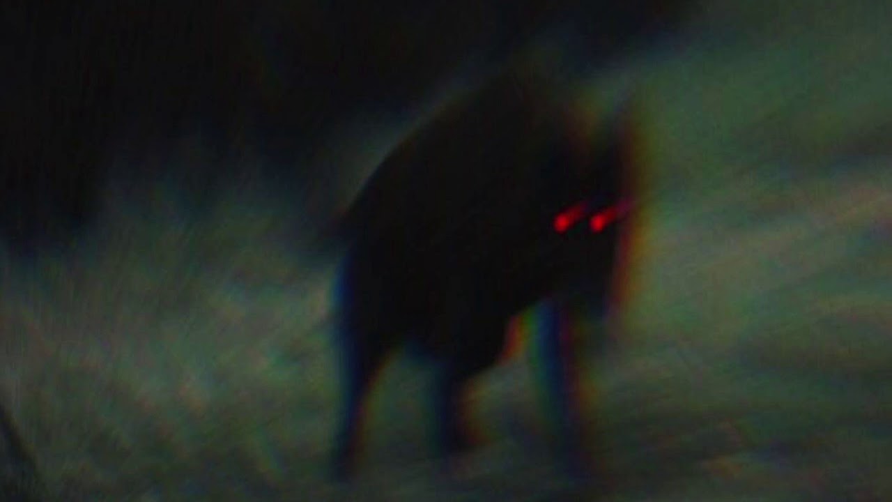 ANTONIO CARDILLI -  Persistence (Hallien Remix)