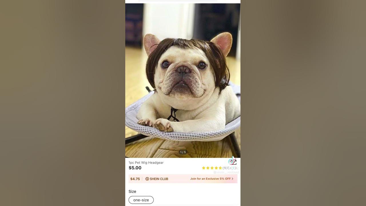 funny shein reviews pt.2 YouTube