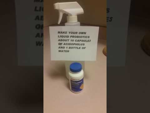 Come rendere il vostro PROBIOTICI LIQUIDI PROPRIE