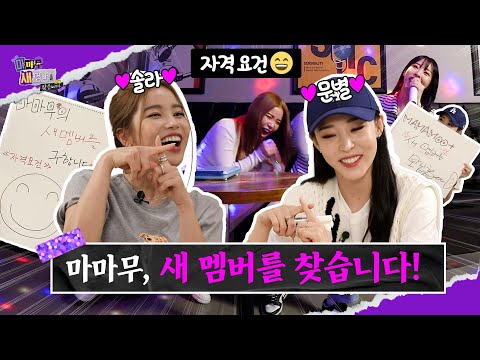 [공지] 마마무+, 새 멤버 영입 기준 안내