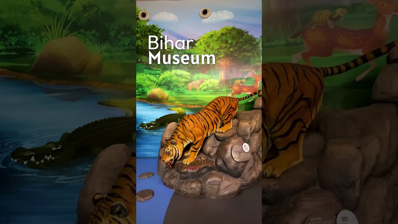 Bihar museum Patna 