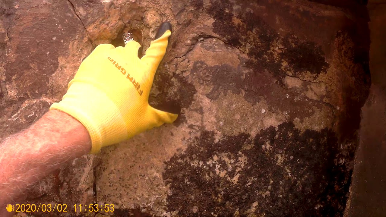 Seawall Inspection in South  Florida