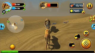 Cheetah Family Sim - Animal Simulator Android iOS Gameplay #5 screenshot 2