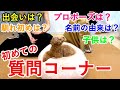 【大公開】初めての質問コーナーで色々と答えてみました!【トイプードル】