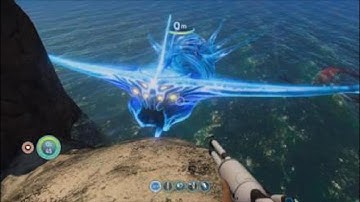 How to turn on the console commands subnautica